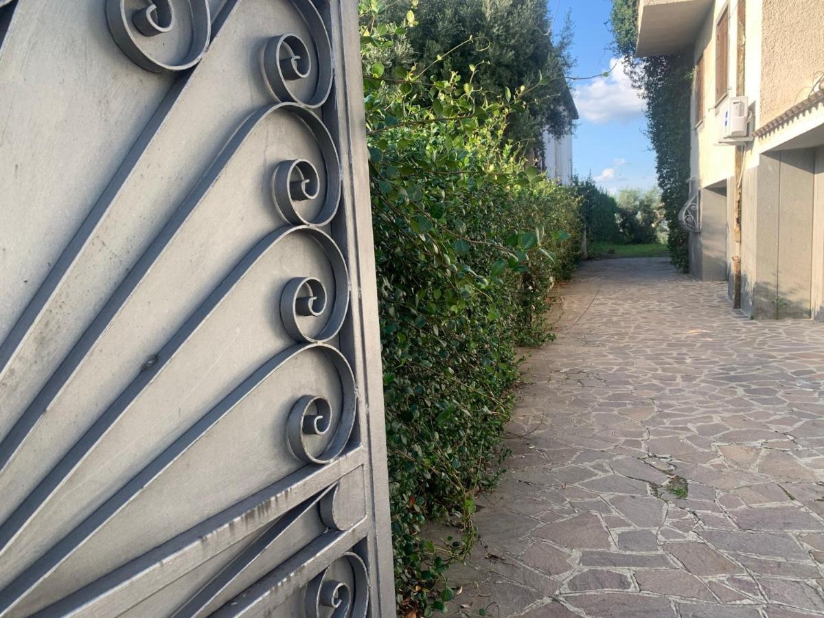 Villa Maximo Apartment 阿尔巴诺拉齐亚莱 外观 照片